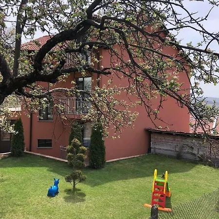 Pletena Guest House 게스트하우스 Pletena
