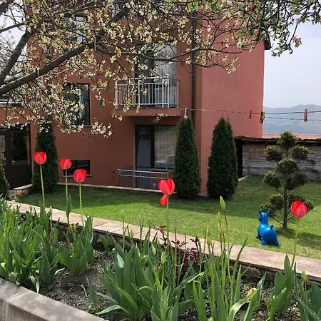Pletena Guest House * Pletena